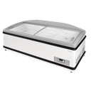 Congélateur Gamme SMR SLB - FRICON - SMR-194SLB-VCC