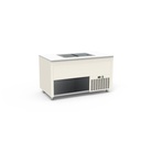 Smart Buffet cuve pour glaces - ERATOS - SBCH-3G-B