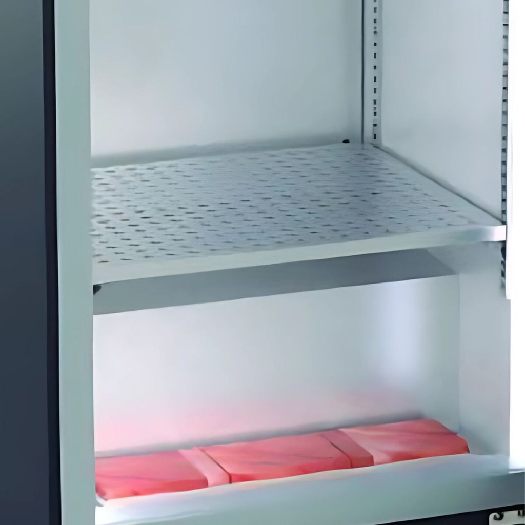 Etagère supplémentaire pour armoire de maturation DAV - CORECO - 56ESDAV