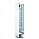 Armoire d'exposition positive 1 porte - DOCRILUC - EVRV-430