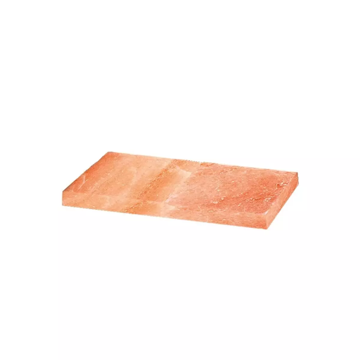 [566033010633] Bloc de sel pour armoire de maturation - CORECO - 566033010633