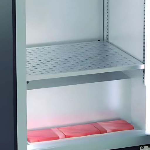 [56ESDAV] Etagère supplémentaire pour armoire de maturation DAV - CORECO - 56ESDAV